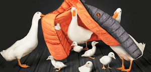 Save-the-duck